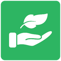 Compact & Lightweight